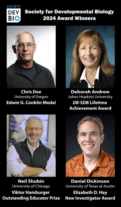 SDB logo, 2024 Society for Developmental Biology Award Winners
Headshot of Chris Doe, Chris Doe, University of Oregon, Edwin G. Conklin Medal
Headshot of Deborah Andrew, Deborah Andrew, Johns Hopkins University, DB-SDB Lifetime Achievement Award
Headshot of Neil Shubin, Neil Shubin, University of Chicago, Viktor Hamburger Outstanding Educator Prize
Headshot of Daniel Dickinson, Daniel Dickinson, University of Texas at Austin, Elizabeth D. Hay New Investigator Award