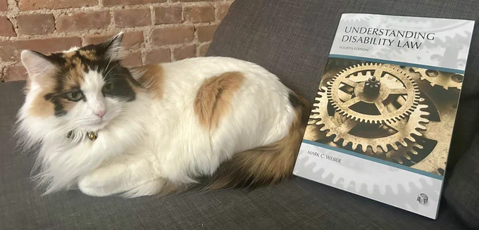 A calico cat sitting next the a grey book with a photo of cog wheels on it. The title of the book is Understanding Disability Law by Mark C Weber
