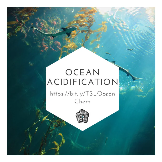 Background: Kelp underwater with a few sharks circling around it. Foreground: A white hexagon with text that reads, "Ocean Acidification," in all caps and a shortened link underneath. Below the shortened link is the Time Scavengers logo of a monochromatic blastoid.