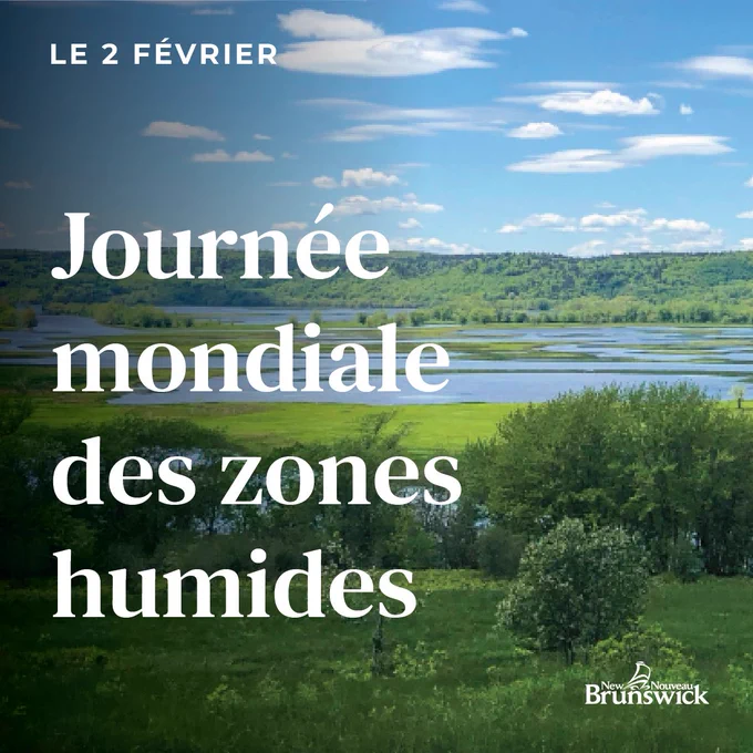 Photo d’un terre humide du Nouveau-Brunswick en été. Texte de la photo : « Le 2 février. Journée mondiale des zones humides ».