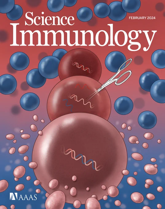 Treating a Primary Immunodeficiency with CRISPR. 

Familial hemophagocytic lymphohistiocytosis (FHL) is a range of inherited, sometimes fatal, inflammatory diseases caused by loss-of-function mutations in the cytotoxic machinery of immune cells. Li et al. developed an adeno-associated virus (AAV)–based CRISPR–Cas9 system combined with nonhomologous end joining (NHEJ) inhibition to repair memory T cells from perforin (Prf1)-deficient mice as well as from pediatric patients with FHL2 (PRF1 deficiency) or FHL3 (Munc13-4/UNC13D deficiency). Repaired mouse T cells could then prevent or cure FHL2-like disease in Prf1-knockout mice triggered by Epstein–Barr virus (EBV)–driven B cell hyperproliferation. This month’s cover illustration depicts CRISPR–Cas9–mediated repair of a cytotoxic T cell (red), which allows it to secrete normal cytotoxic granules (pink) and effectively kill virally infected B cells (blue).