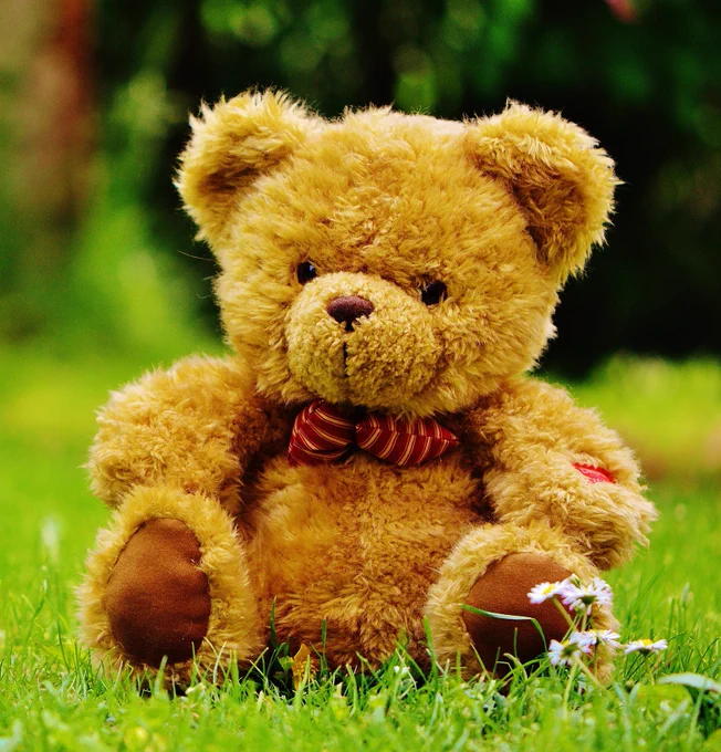 Teddybär auf dem Gras