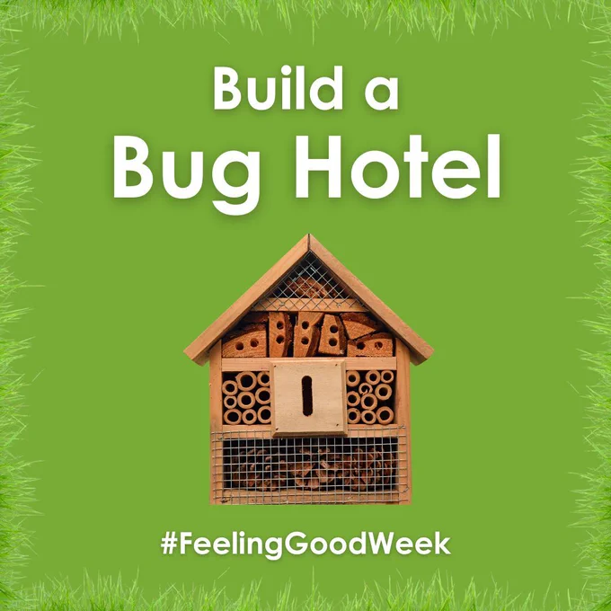 White text on a green background with grass border: Build a Bug Hotel. Photograph of a small wooden house with hideyholes inside and metal wire attached. #FeelingGoodWeek