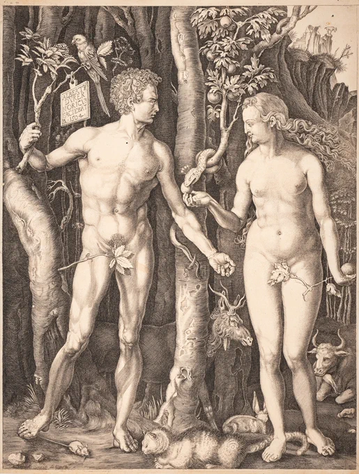 Adam and Eve in the Garden of Eden

Albrecht Dürer (1471–1528) (copy of)