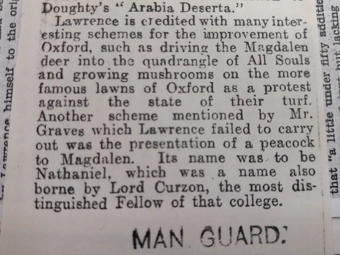 "The Return of Aircraftman Shaw", Manchester Guardian, 4 Feb 1929. Magdalen College Archives, Papers of Jeremy Wilson, P450/R/ORR/6/1/120