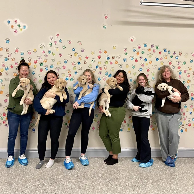 Six raisers each holding a little Labrador Retriever puppy, 5 yellow and 1 black