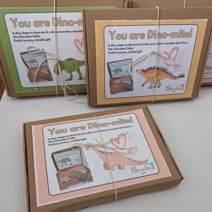 3 types of dino box, brontosaurus, T Rex and Stegasaurus