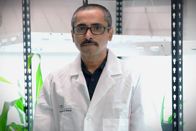Dr. Manohar Chakrabarti, assistant professor of Plant Functional Genomics in the UTRGV School of Integrative Biological and Chemical Sciences (SIBCS).