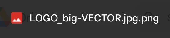 Screenshot of file named "logo big vector.jpg.png"