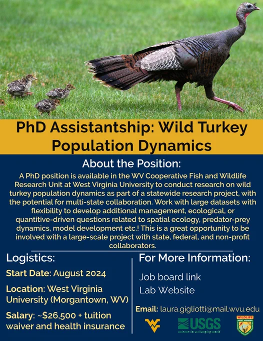 A PhD position is available in the WV Cooperative Fish and Wildlife Research Unit at West Virginia University to conduct research on wild turkey population dynamics as part of a statewide research project, with the potential for multi-state collaboration. Work with large datasets with flexibility to develop additional management, ecological, or quantitative-driven questions related to spatial ecology, predator-prey dynamics, model development etc.! This is a great opportunity to be involved with a large-scale project with state, federal, and non-profit collaborators. More information at: https://jobs.rwfm.tamu.edu/view-job/?id=90178