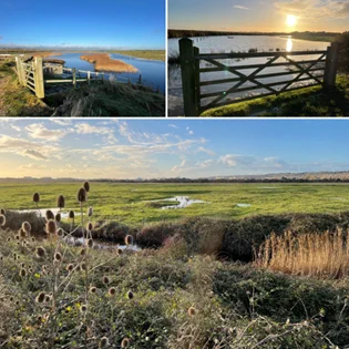 Montage of three photos: 
Top left: A view of water at Farlington Marshes.
Top right: A view over a wooden gate onto the wetland.
Bottom: Landscape view across the marshes with a stream running through the marsh land. 