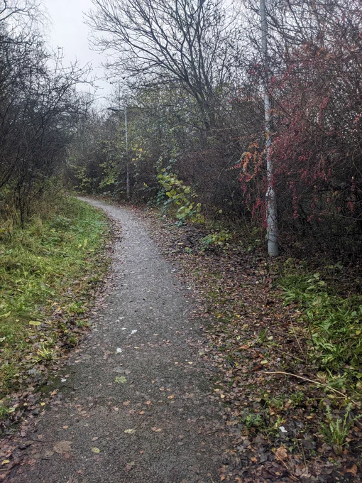 Photo showing overgrown walking and cycling route through the Travis Brow roundabout