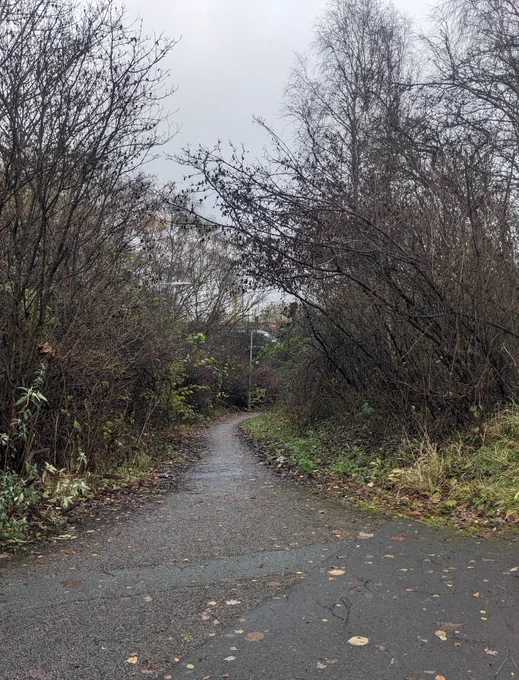 Photo showing overgrown walking and cycling route through the Travis Brow roundabout