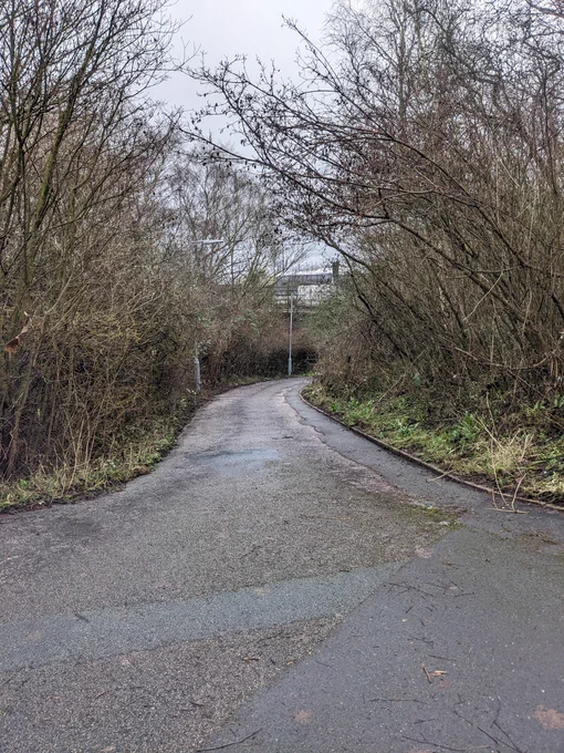 Photo showing  walking and cycling route through the Travis Brow roundabout which has been cleared of overgrown vegetation