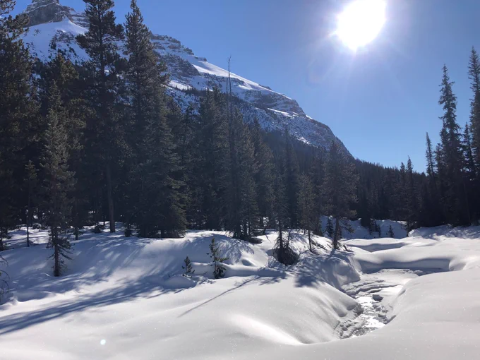 A snow-covered river is pictured with evergreen trees, a mountain in the background and clear blue skies. 