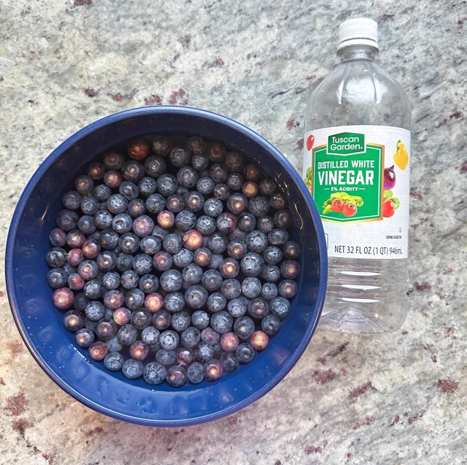 The blueberries soaking in the bowl with water and white vinegar.