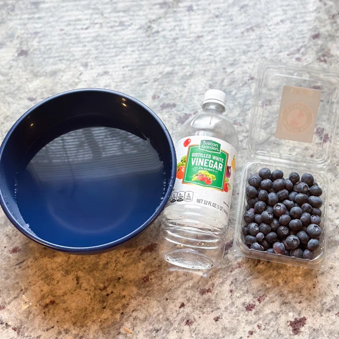 Overhead shot of a bowl of water, white vinegar and blueberries.