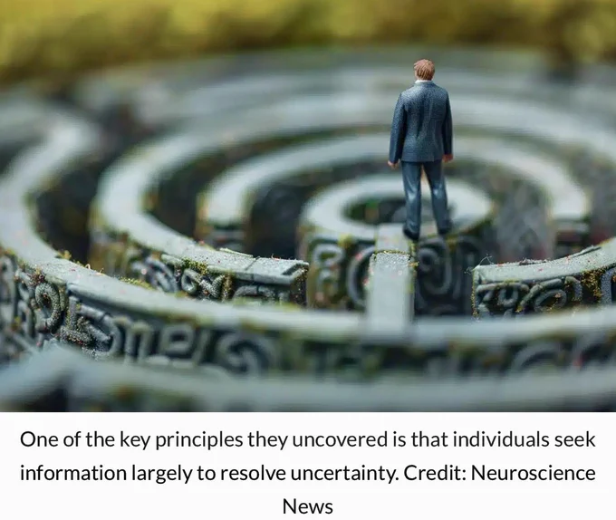 Decision Making: The #Brain’s #Blueprint for Future Insights 

Source: @WUSTL 

#Neuroscience #brain #decisionmaking #WMC24 #HealthTech #MentalRules #MentalHealth #Future  #FutureOfWork Posted by Eveline Ruehlin. @enilev