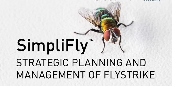 fly next to SimpliFly wording promotion of flystrike management