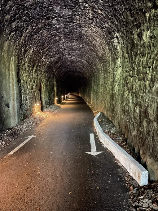Greenway Tunnel Railway walk part 1