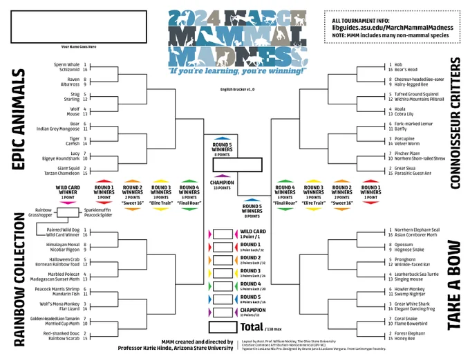 The Common Name Bracket in English (Latin binomial, JUMBO, Spanish, & Screen-Reader versions at the LibGuide https://libguides.asu.edu/MarchMammalMadness/HowToPlay