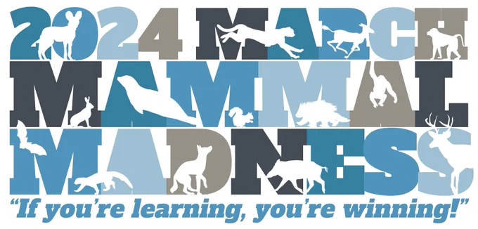2024 Elaborate Logo with animal silhouettes in front of March Mammal Madness text. Below is the tournament slogan "If you're learning, you're winning!"