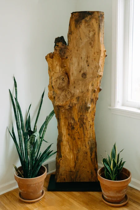 Standing Art- Slippery Elm