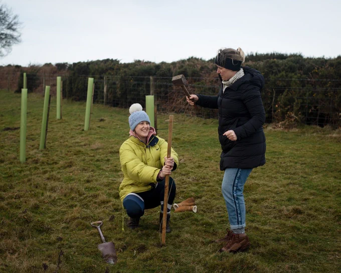 Two women planting a tree, one is holding a post to support the sapling and the other is hammering it in the ground