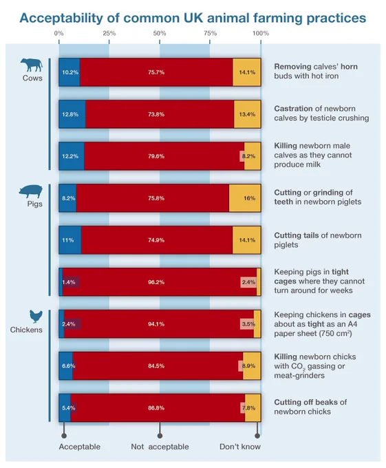 Acceptability of common UK animal farming practices

Cows

Removing calves' horn buds with hot iron
10.2% acceptable 
75.7% unacceptable 
14.1% don’t know

Castration of newborn calves by testicle crushing
12.8% acceptable 
73.8% unacceptable 
13.4% don’t know 

Killing newborn male calves as they cannot produce milk
8.2% acceptable
78.6% unacceptable
6.2% don’t know

Pigs
Cutting or grinding of teeth in newborn piglets
8.2% acceptable
75.8% unacceptable
16% don’t know

Cutting tails of newborn piglets
11% acceptable
74.9% unacceptable
14.1% don’t know

Keeping pigs in tight cages where they cannot turn around for weeks

1.4% acceptable
96.2% unacceptable
2.4% don’t know

Chickens
Keeping chickens in cages about as tight as an A4 paper sheet
2.4% acceptable
94.1% unacceptable
3.5% don’t know

Killing newborn chicks
With CO, gassing or
meat-grinders
6.9% acceptable
84.5% unacceptable
8.9% don’t know

Cutting off beaks of newborn chicks
5.4% acceptable
86.8% unacceptable
7.8% don’t know