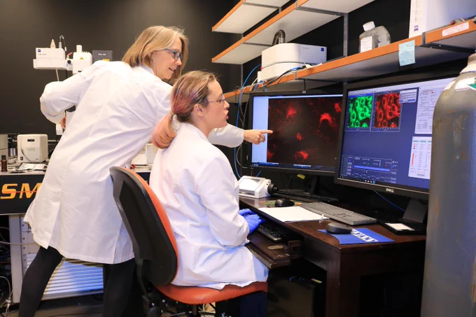 Researchers in the Lab of Dr. Beverly Davidson