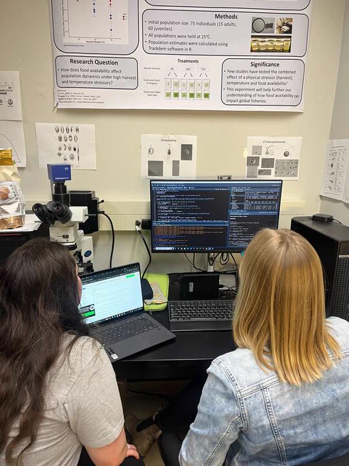 Two students, working on their R analysis.