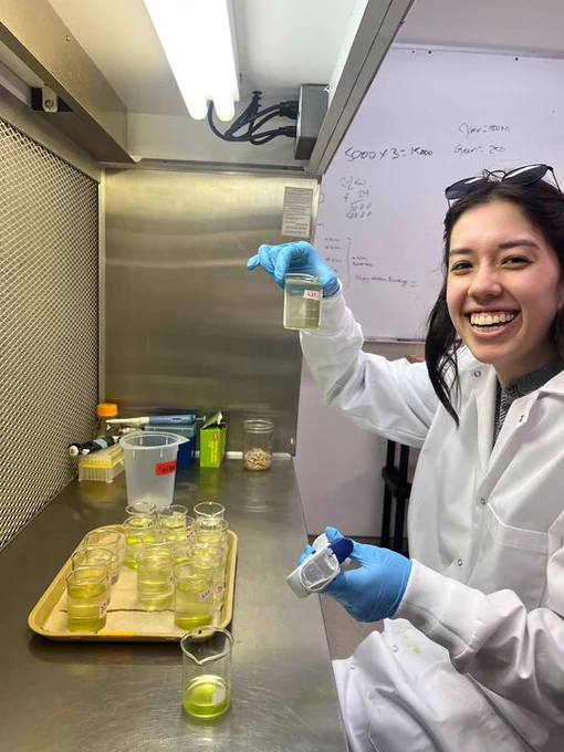Student in lab coat while feeding algae to zooplankton in beakers.