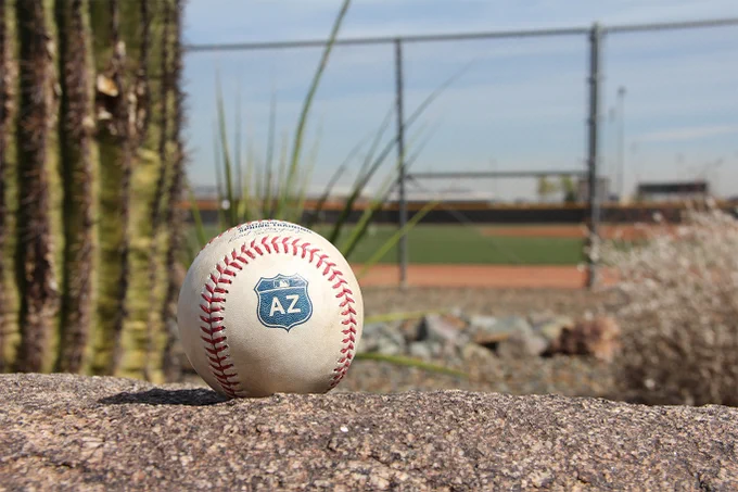 A baseball with a road marker-style stamp for Arizona posed next to a cactus.