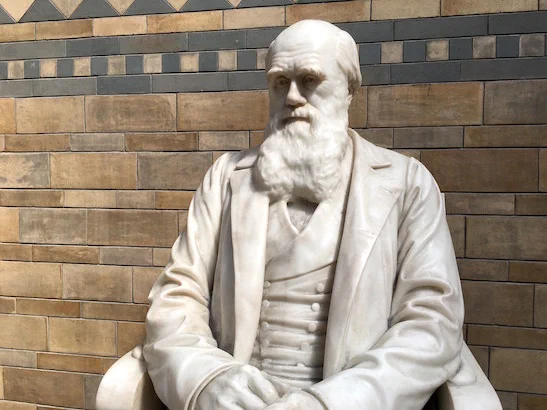 Statue of Charles Darwin