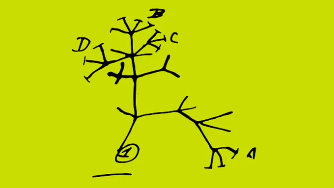 Charles Darwin's Tree of Life