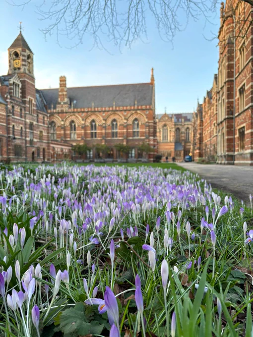Lilac Crosues growing on Pusey Quad in foreground, Keble buildings visible in background.