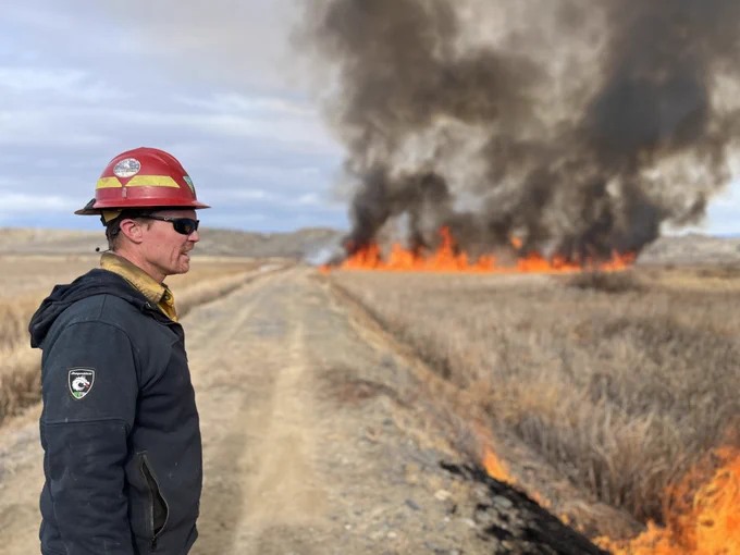 A firefighter wearing a red hardhat stands in a two-track dirt road, watching cattails burn.