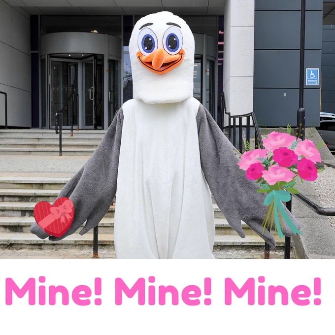 Picture shows Steven the Seagull in front of Aberdeen City Campus holding chocolates and a bunch of flowers for valentines day.

Text reads: Mine! Mine! Mine!
