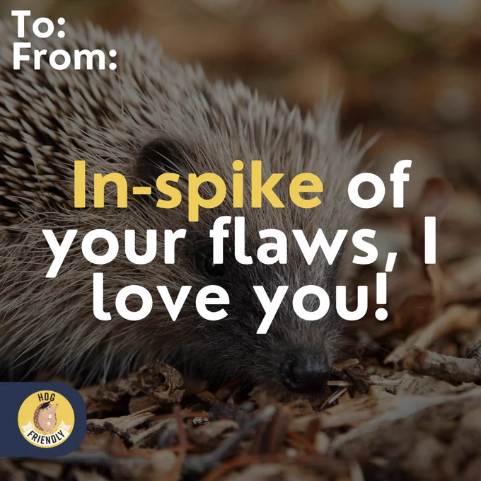 Decorative image of a hedgehog in the background. Text overlay says ‘In-Spike of your flaws, I love you’.