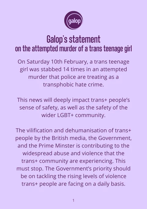 On Saturday 10th February, a trans teenage girl was stabbed 14 times in an attempted murder that police are treating as a transphobic hate crime. 

This news will deeply impact trans  people’s sense of safety, as well as the safety of the wider LGBT  community.  

The vilification and dehumanisation of trans  people by the British media, the Government, and the Prime Minster is contributing to the widespread abuse and violence that the trans  community are experiencing. This must stop. The Government’s priority should be on tackling the rising levels of violence trans  people are facing on a daily basis.  
