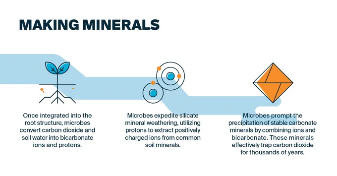 Turning carbon dioxide into minerals