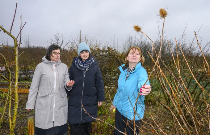 There are three women standing in coats in a garden looking at a plant. In the background we can see a grey sky and carpark. The woman on the right (in a light blue coat and with short blonde bob) is touching a Theasel branch which is growing vertically, and is bear bar a prickly bulb at the top. The woman on the left is wearing a light grey coat and glasses and is gesturing towards the plant. The woman in the middle, in a navy coat and light blue hat is smiling and listening.