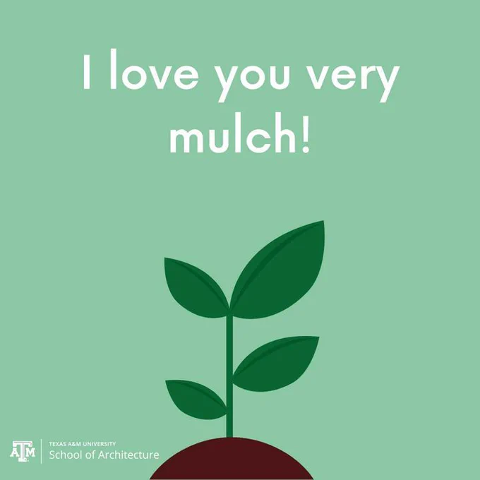 Graphic with a green background and text that reads "I love you so mulch!" with a plant graphic