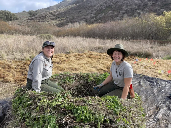 Two park rangers sit on a pile of plant clippings.