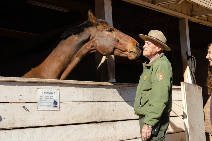 A park ranger faces a horse in a stable.