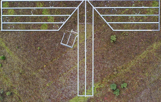 Aerial view of a series of boardwalks placed over a peatland bog site