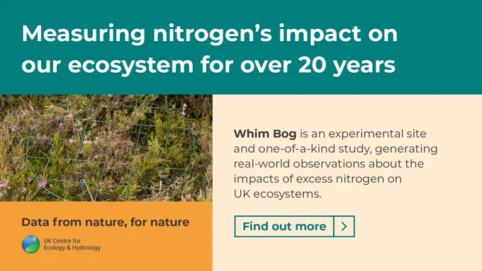 A series of square grids placed over peatland vegetation for measurement. Accompanying text: Measuring nitrogen's impact on our ecosystem for over 20 years. Whim Bog is an experimental site and one-of-a-kind study, generating real-world observations about the impacts of excess nitrogen on UK ecosystems