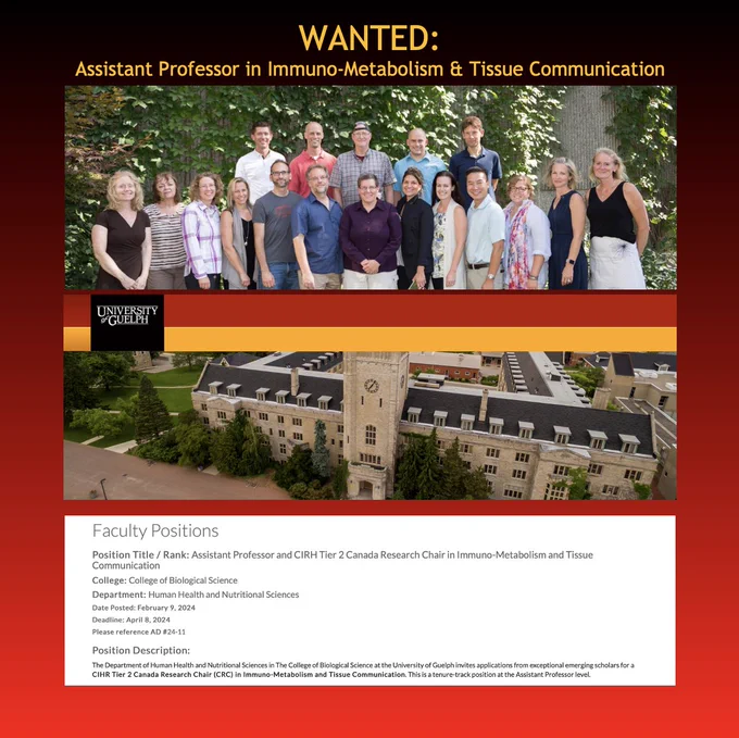 A screenshot of the job ad from the link provided in the tweet, a photo of Johnston Hall, and a group photo of our faculty.