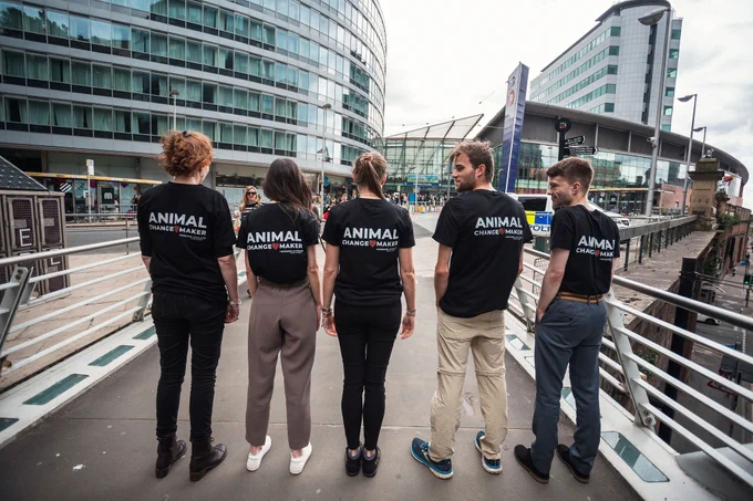 Five people stood in a line with their backs to the camera, on their T-shirts it says 'Animal Change Maker' 