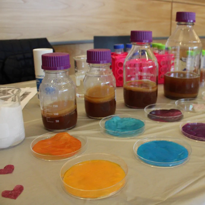 The @UW / @uwengineering  Women in Chemical Engineering hosted their 8th annual "Introduce a Girl" event, focusing on the exciting theme of #FoodScience. This event offered an engaging afternoon of #STEM demonstrations for young girls and gender-expansive individuals.

#UW #WChE